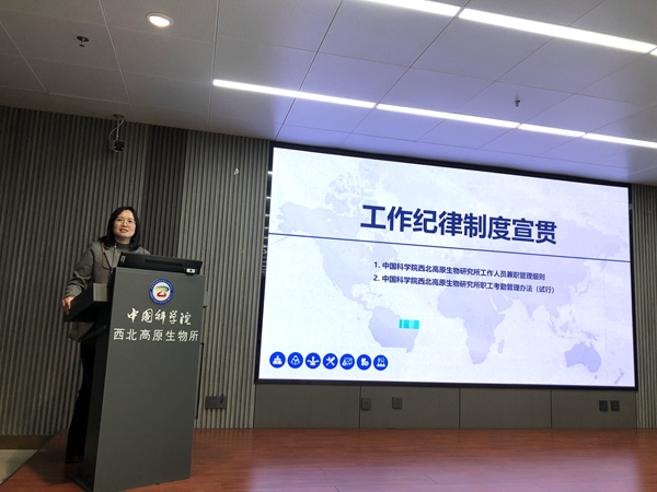 香港内部信封料一码