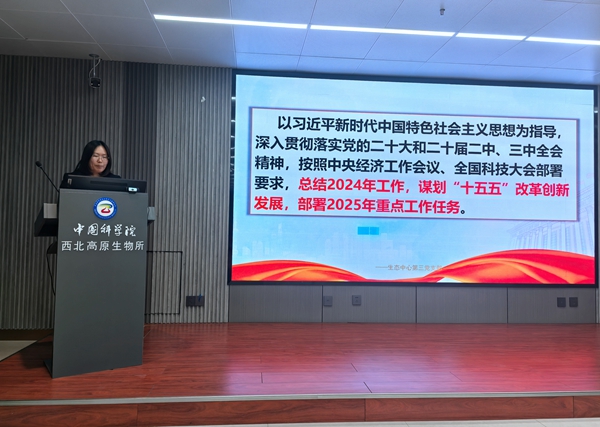 香港内部信封料一码