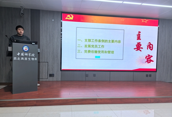 香港内部信封料一码