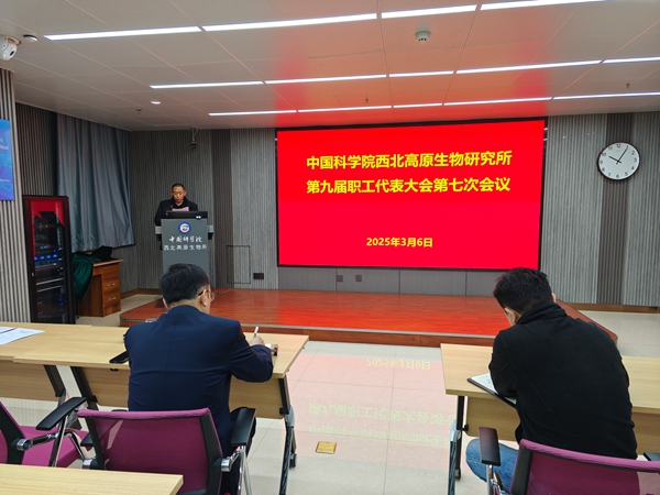 香港内部信封料一码