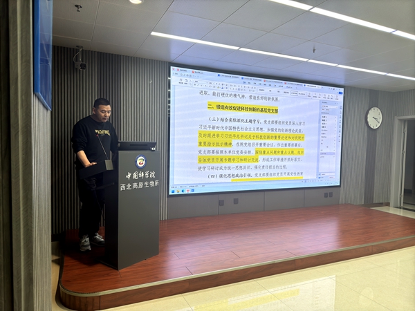 香港内部信封料一码