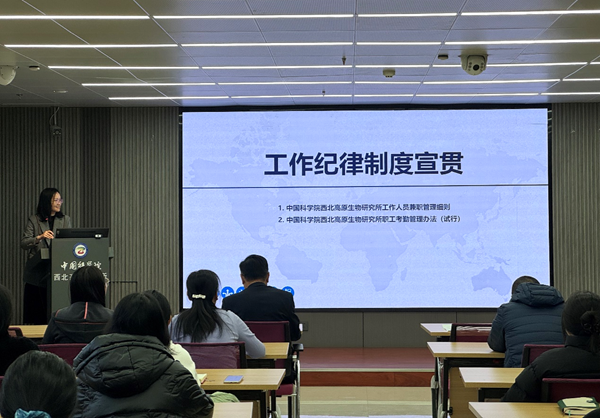 香港内部信封料一码