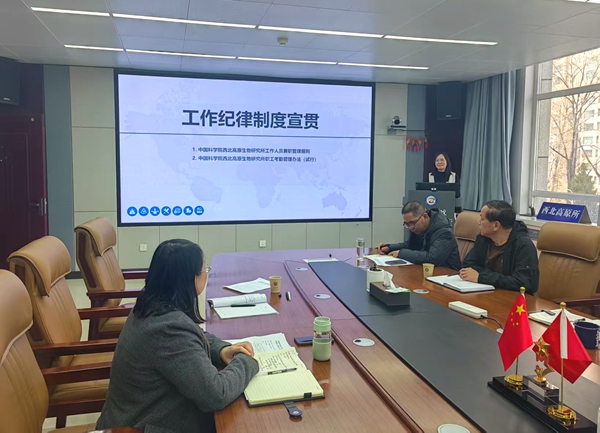 香港内部信封料一码