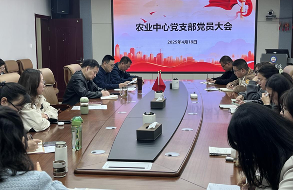 香港内部信封料一码