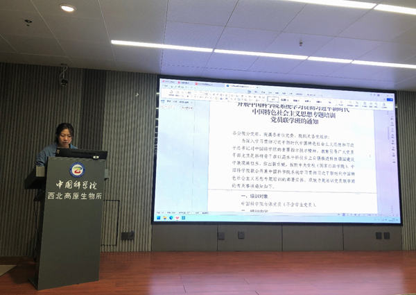 香港内部信封料一码