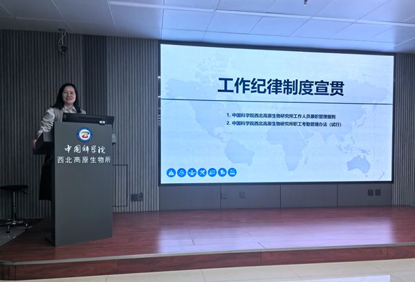 香港内部信封料一码