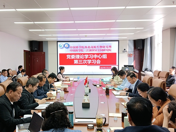 香港内部信封料一码