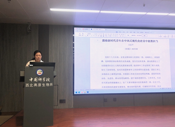 香港内部信封料一码