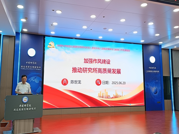香港内部信封料一码