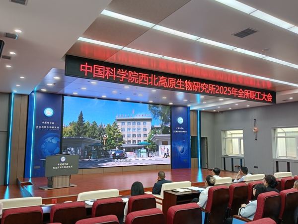 香港内部信封料一码