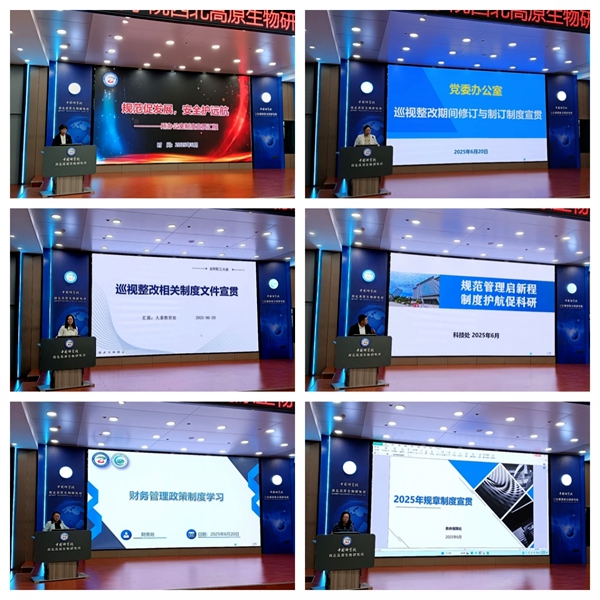 香港内部信封料一码