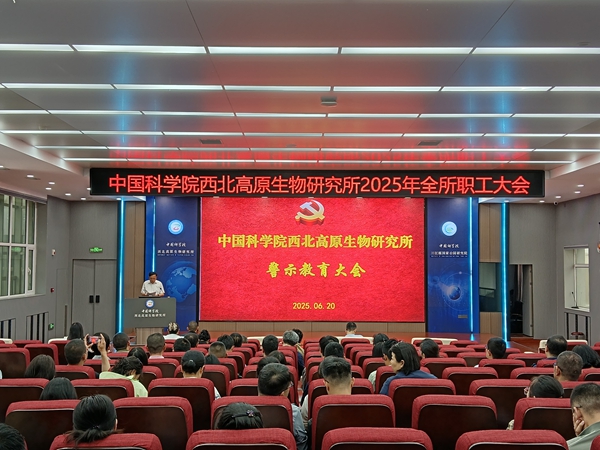 香港内部信封料一码