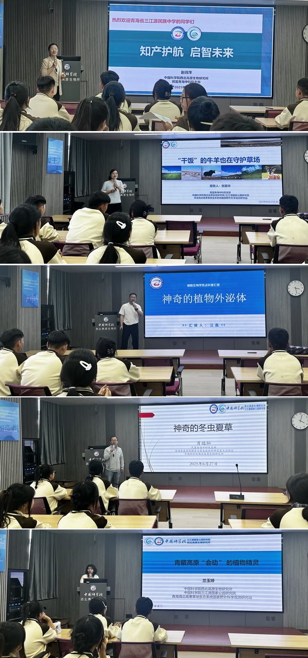 香港内部信封料一码