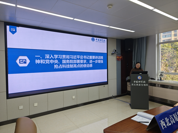 香港内部信封料一码