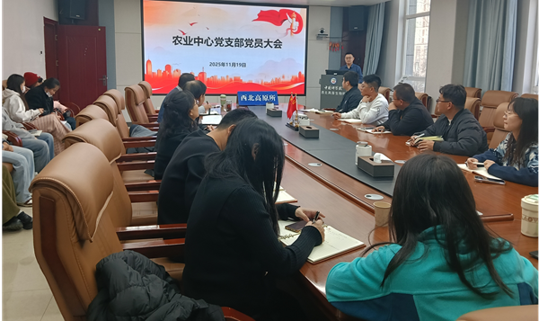香港内部信封料一码