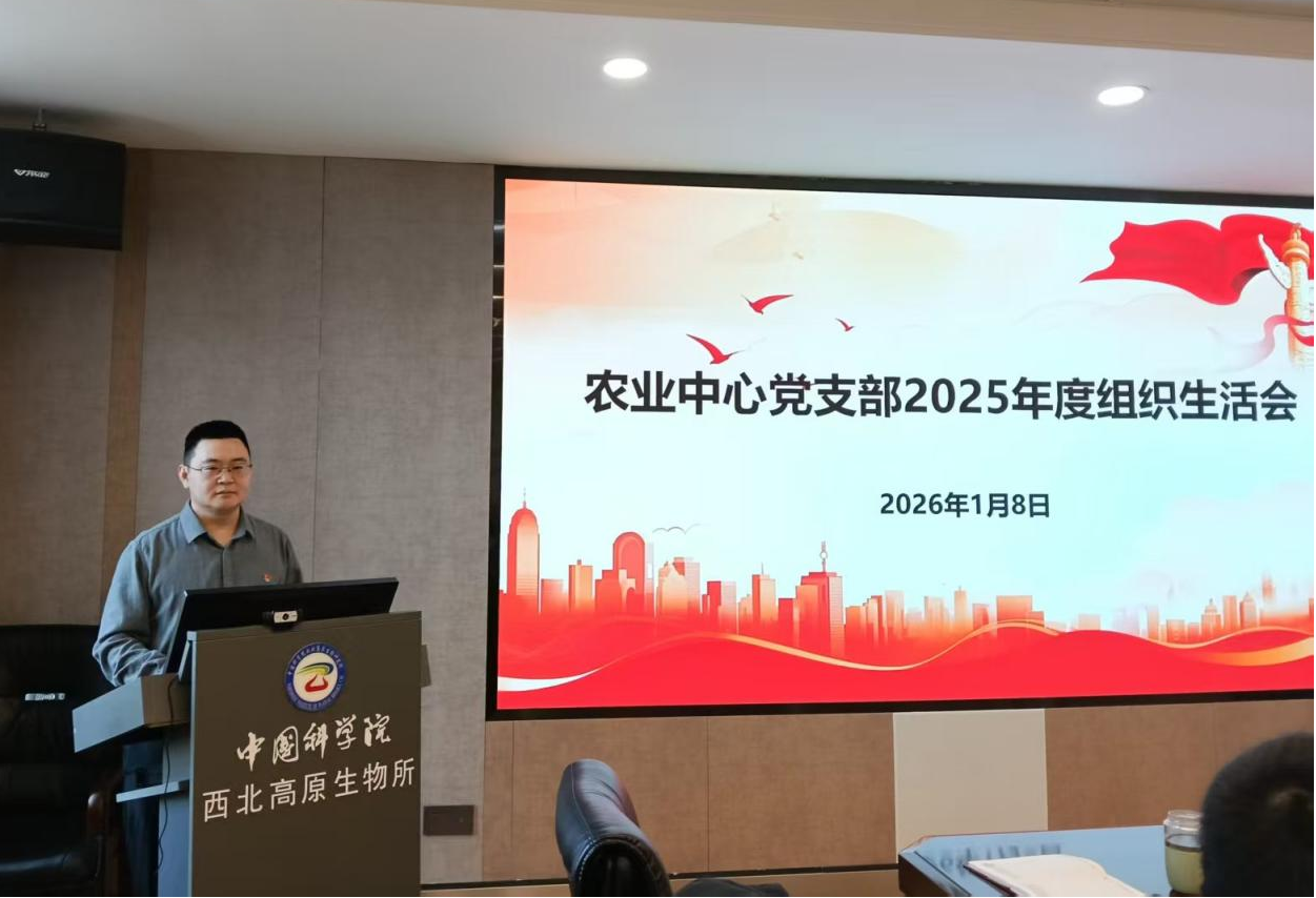 香港内部信封料一码