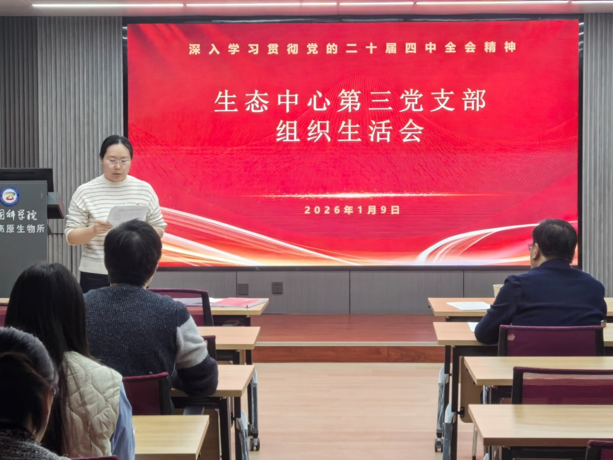 香港内部信封料一码