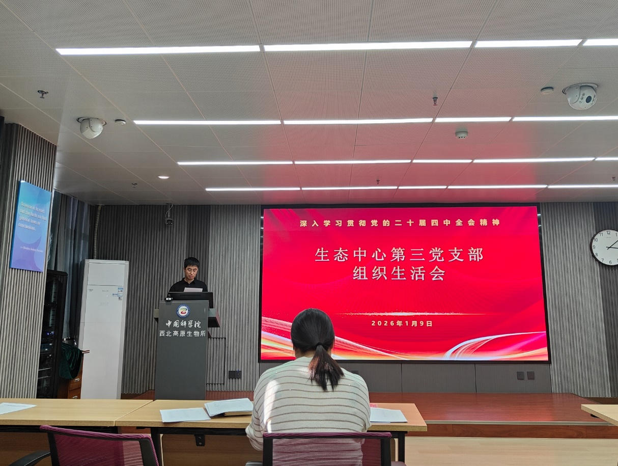 香港内部信封料一码