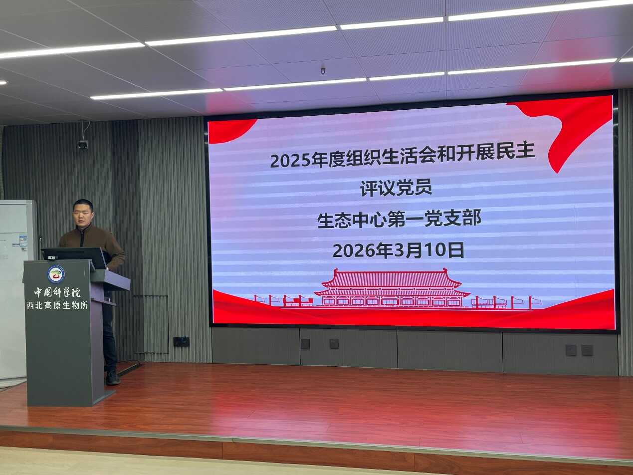 香港内部信封料一码