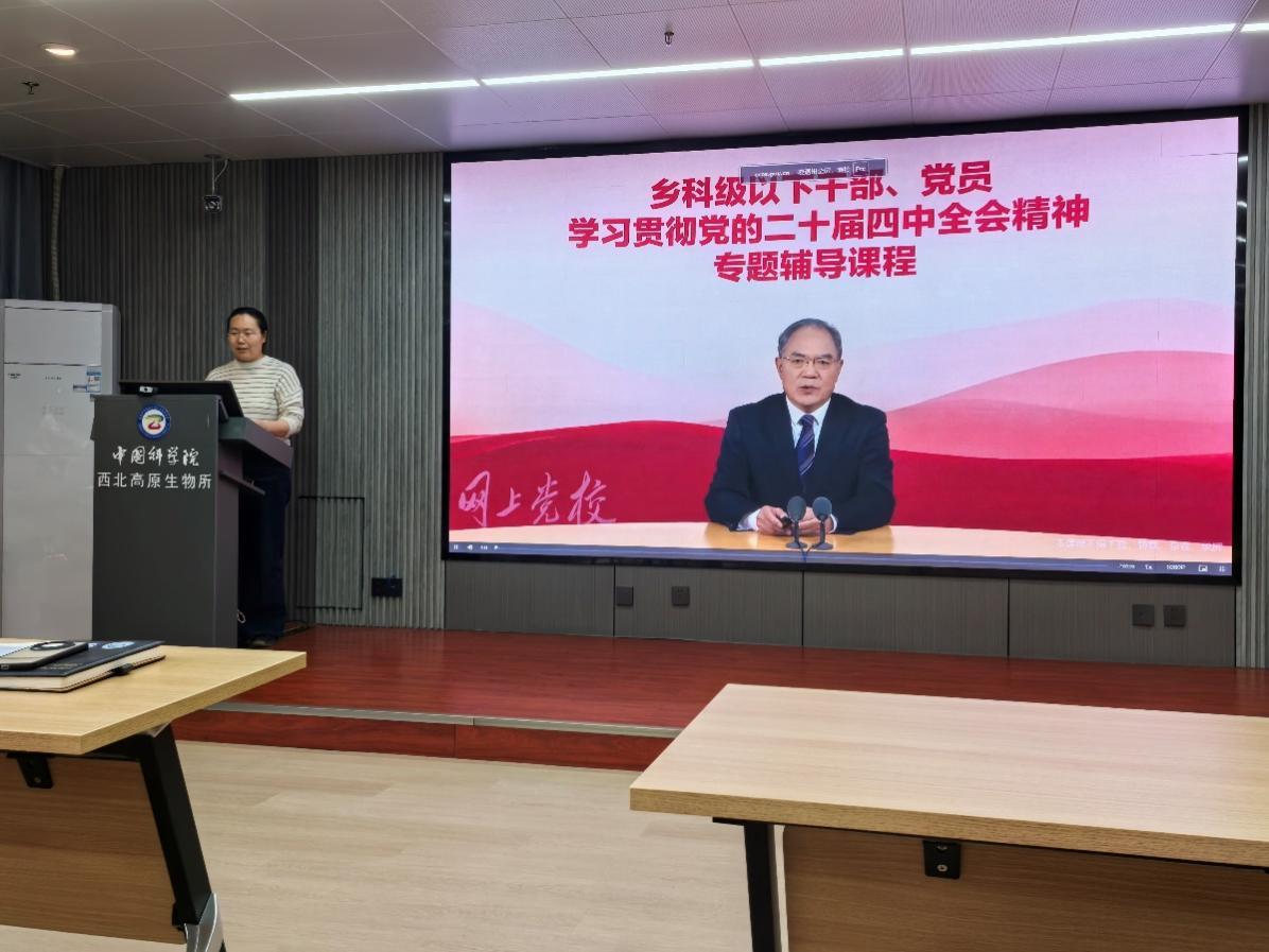 香港内部信封料一码