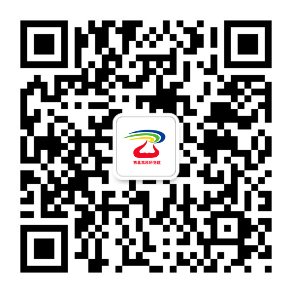 香港内部信封料一码