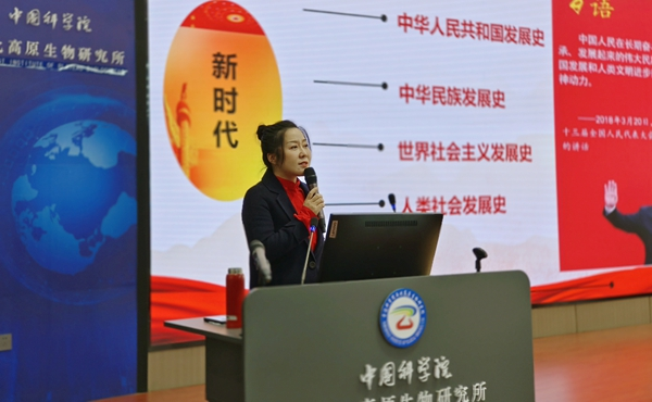香港内部信封料一码