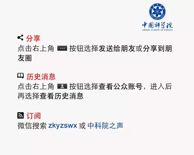 香港内部信封料一码