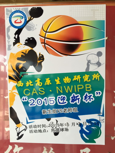 香港内部信封料一码