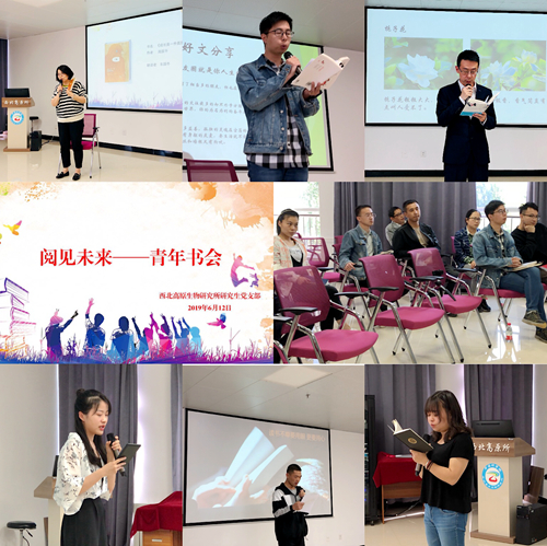 香港内部信封料一码