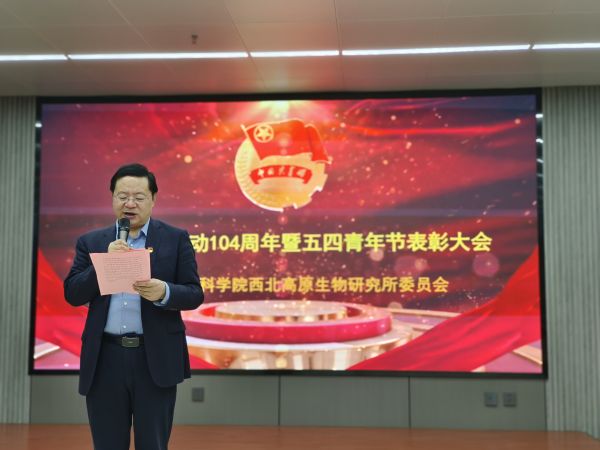 香港内部信封料一码