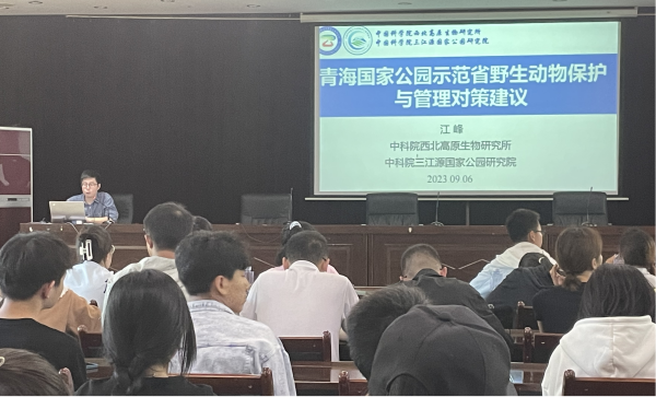 香港内部信封料一码