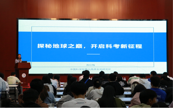 香港内部信封料一码