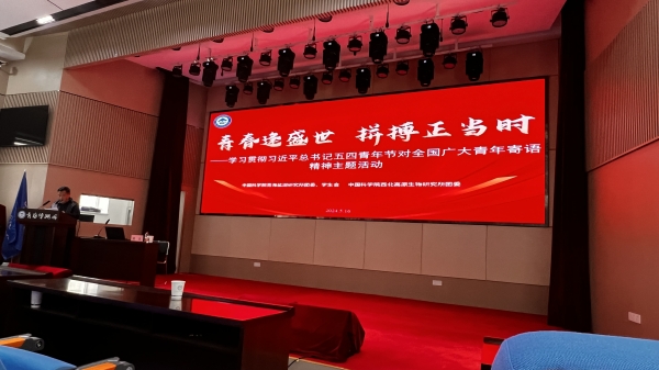 香港内部信封料一码