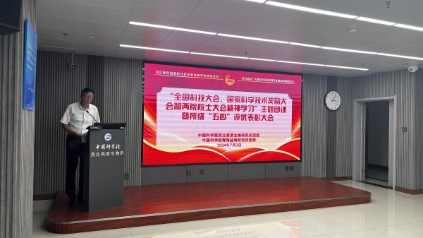 香港内部信封料一码