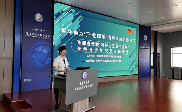 香港内部信封料一码