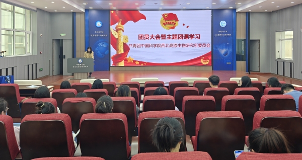 香港内部信封料一码