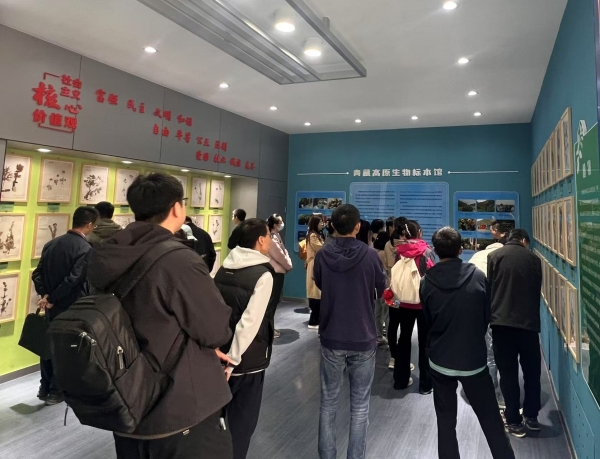 香港内部信封料一码