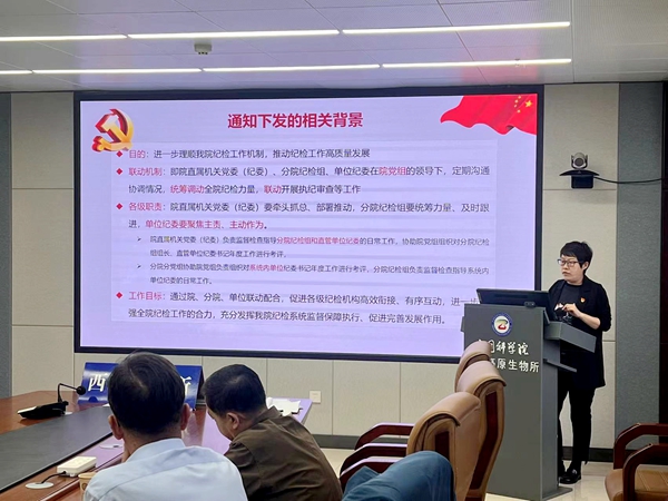 香港内部信封料一码