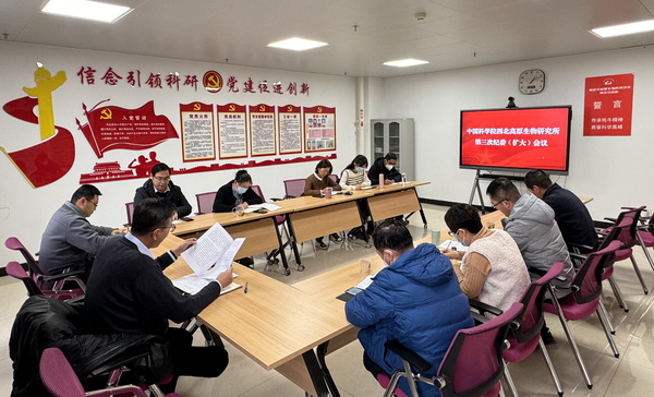 香港内部信封料一码