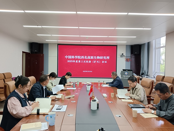 香港内部信封料一码