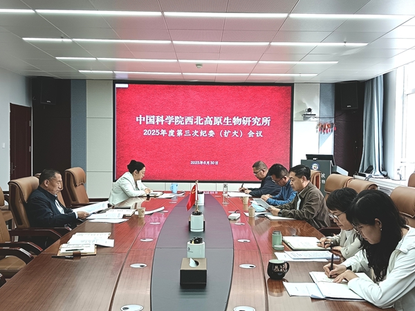 香港内部信封料一码