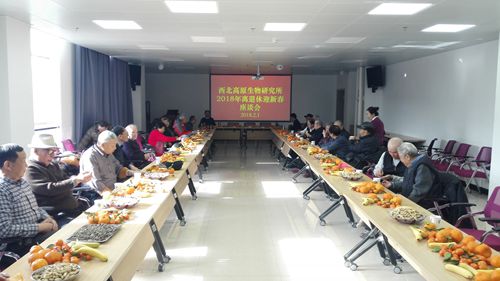 香港内部信封料一码