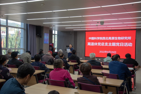 香港内部信封料一码