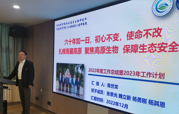 香港内部信封料一码