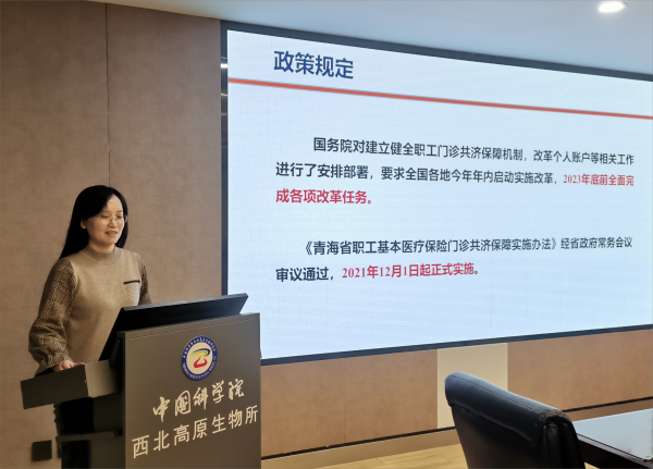 香港内部信封料一码