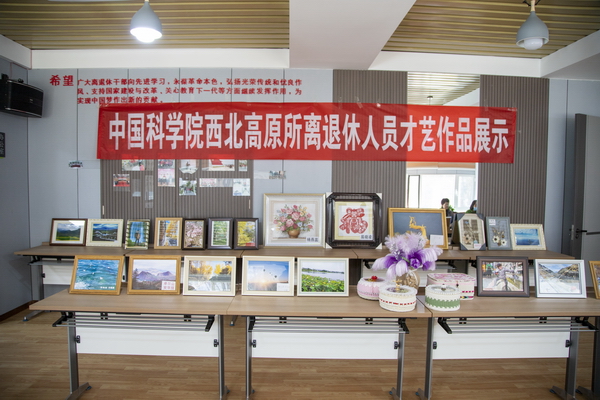 香港内部信封料一码