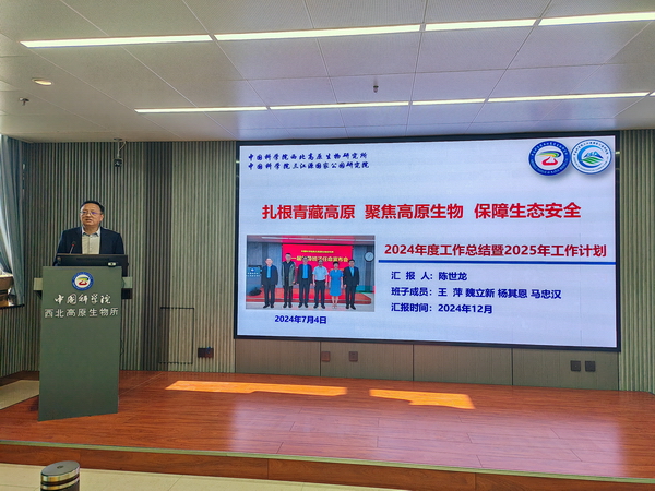 香港内部信封料一码