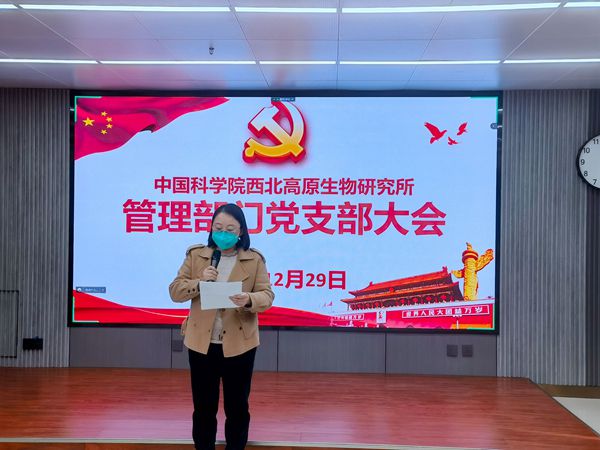 香港内部信封料一码