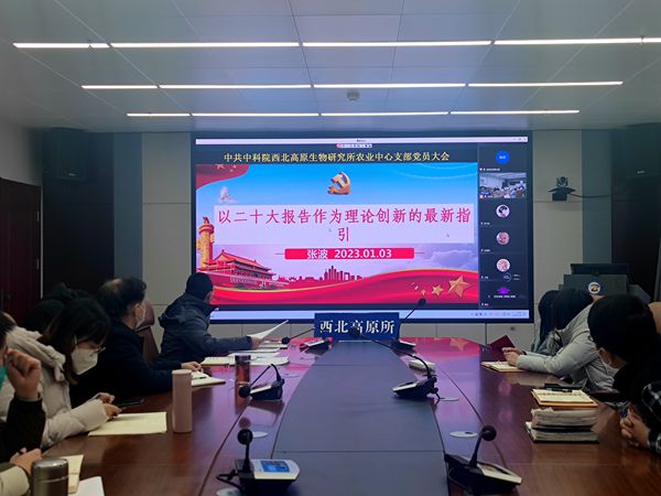 香港内部信封料一码