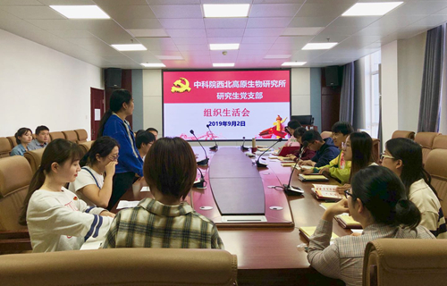 香港内部信封料一码